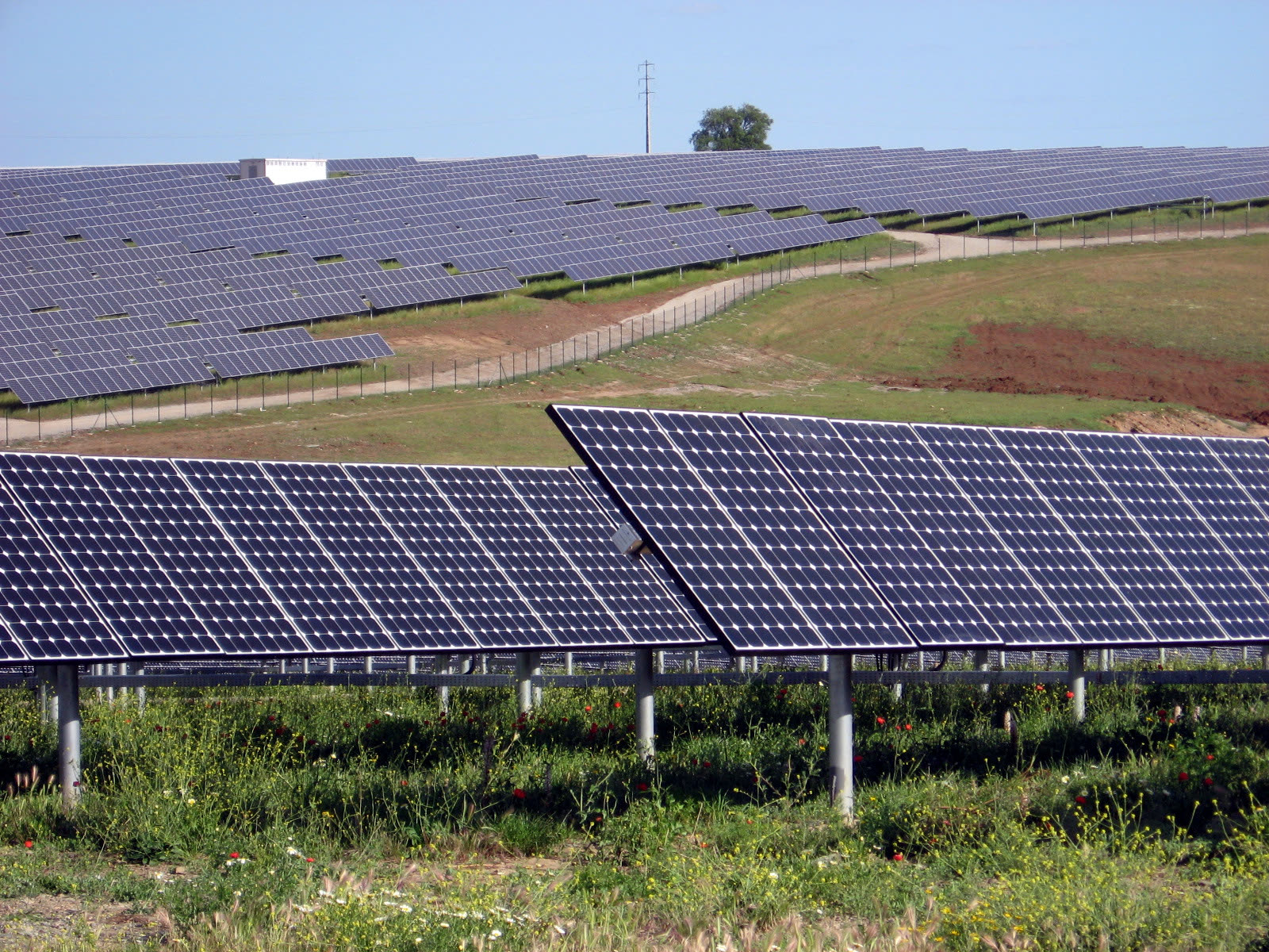 Rows of solar panels across a rolling hillside